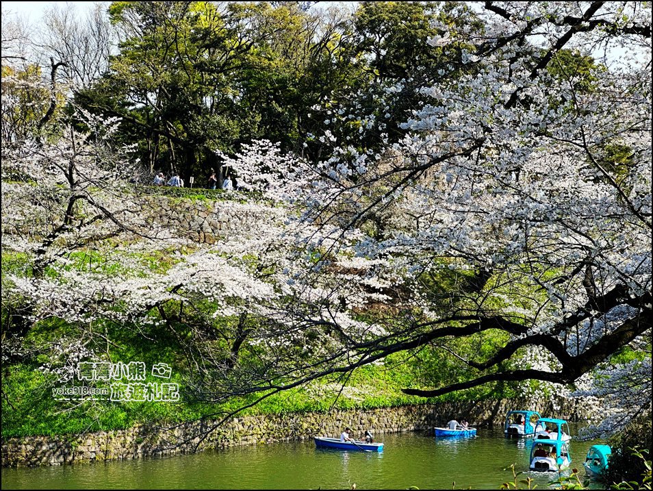東京賞櫻景點推薦》千鳥之淵~看不到盡頭的櫻花盛開,迷人景致讓人流連忘返 @青青小熊*旅遊札記 東京賞櫻景點推薦》千鳥之淵~看不到盡頭的櫻花盛開,迷人景致讓人流連忘返 @青青小熊*旅遊札記