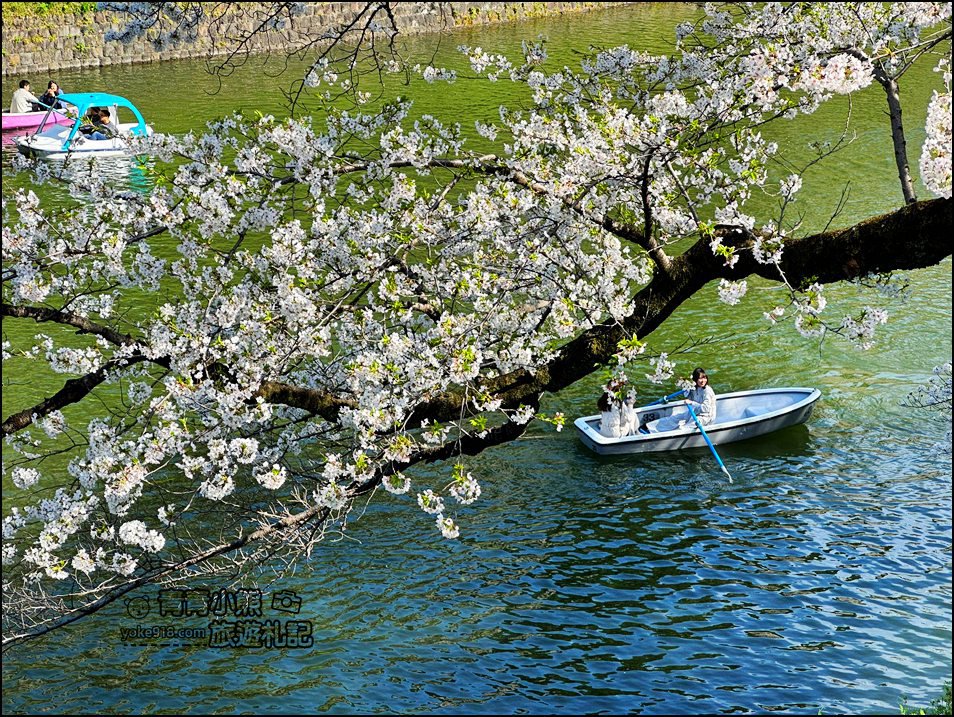東京賞櫻景點推薦》千鳥之淵~看不到盡頭的櫻花盛開,迷人景致讓人流連忘返 @青青小熊*旅遊札記 東京賞櫻景點推薦》千鳥之淵~看不到盡頭的櫻花盛開,迷人景致讓人流連忘返 @青青小熊*旅遊札記