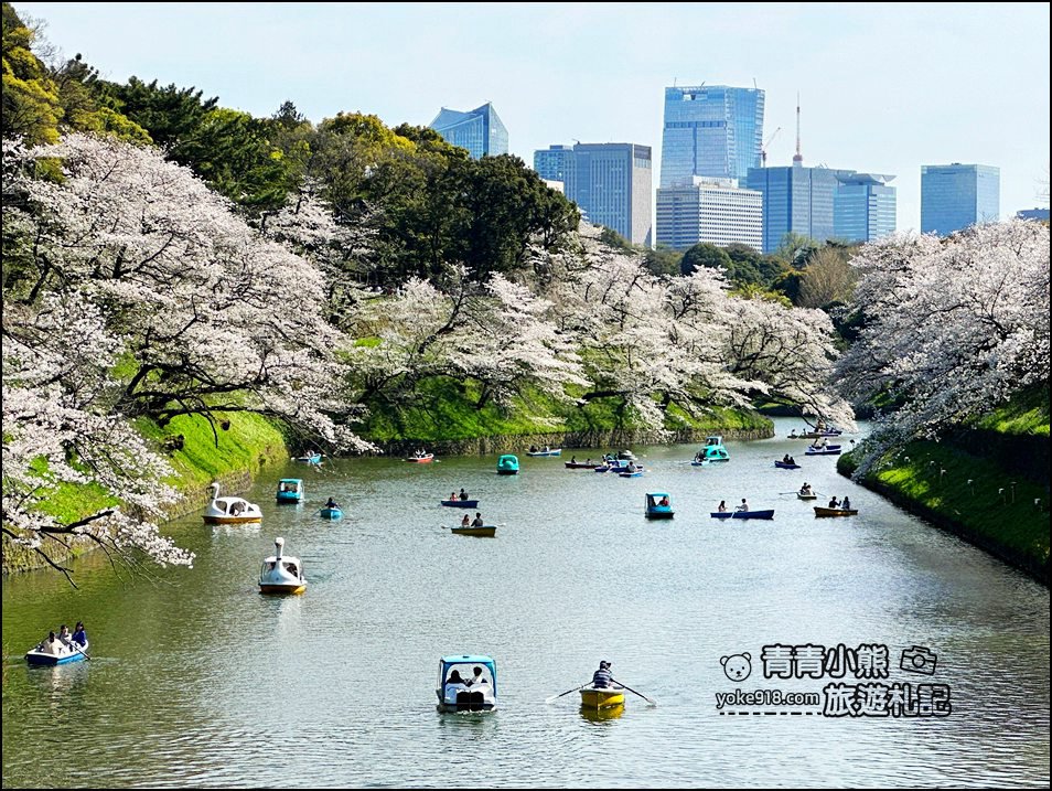 東京賞櫻景點推薦》千鳥之淵~看不到盡頭的櫻花盛開,迷人景致讓人流連忘返 @青青小熊*旅遊札記 東京賞櫻景點推薦》千鳥之淵~看不到盡頭的櫻花盛開,迷人景致讓人流連忘返 @青青小熊*旅遊札記