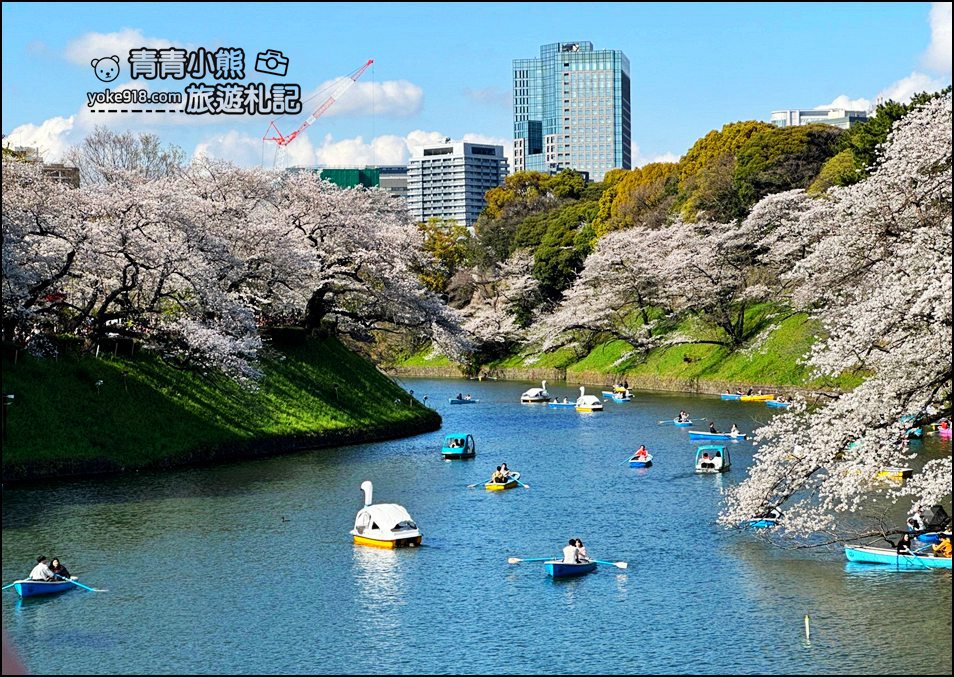 東京賞櫻景點推薦》千鳥之淵~看不到盡頭的櫻花盛開,迷人景致讓人流連忘返 @青青小熊*旅遊札記 東京賞櫻景點推薦》千鳥之淵~看不到盡頭的櫻花盛開,迷人景致讓人流連忘返 @青青小熊*旅遊札記