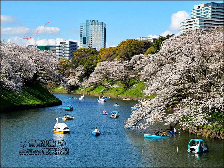 東京賞櫻景點推薦》千鳥之淵~看不到盡頭的櫻花盛開，迷人景致讓人流連忘返 @青青小熊＊旅遊札記