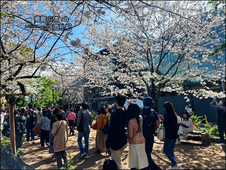 東京賞櫻景點推薦》千鳥之淵~看不到盡頭的櫻花盛開,迷人景致讓人流連忘返 @青青小熊*旅遊札記 東京賞櫻景點推薦》千鳥之淵~看不到盡頭的櫻花盛開,迷人景致讓人流連忘返 @青青小熊*旅遊札記
