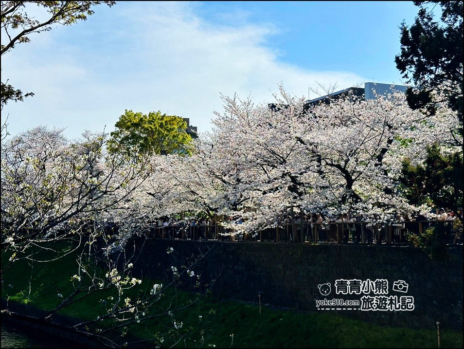 東京賞櫻景點推薦》千鳥之淵~看不到盡頭的櫻花盛開,迷人景致讓人流連忘返 @青青小熊*旅遊札記 東京賞櫻景點推薦》千鳥之淵~看不到盡頭的櫻花盛開,迷人景致讓人流連忘返 @青青小熊*旅遊札記
