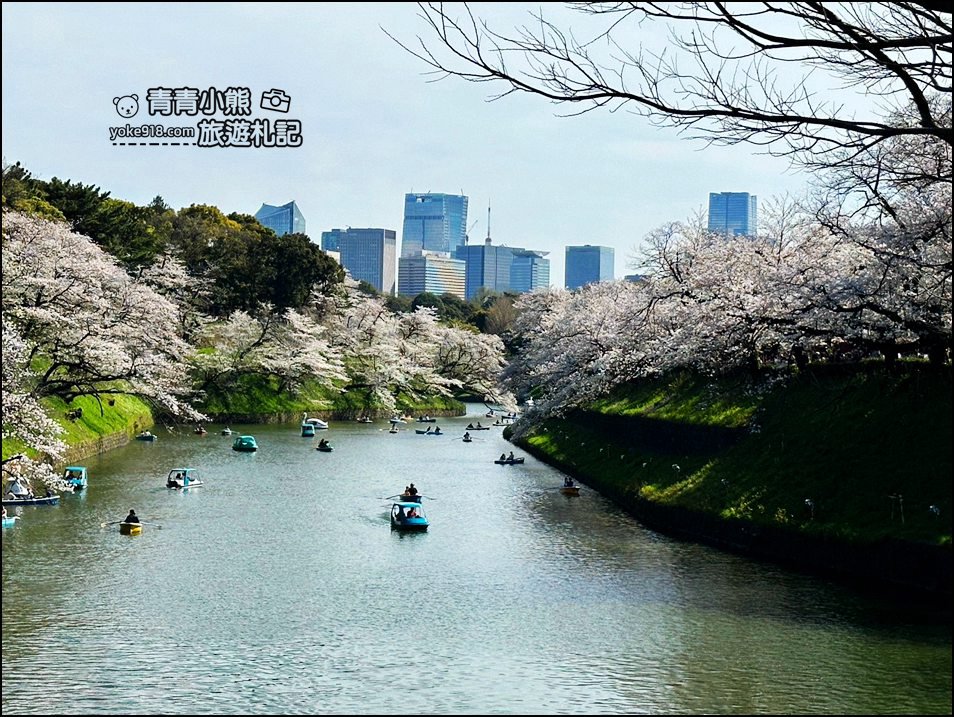 東京賞櫻景點推薦》千鳥之淵~看不到盡頭的櫻花盛開,迷人景致讓人流連忘返 @青青小熊*旅遊札記 東京賞櫻景點推薦》千鳥之淵~看不到盡頭的櫻花盛開,迷人景致讓人流連忘返 @青青小熊*旅遊札記