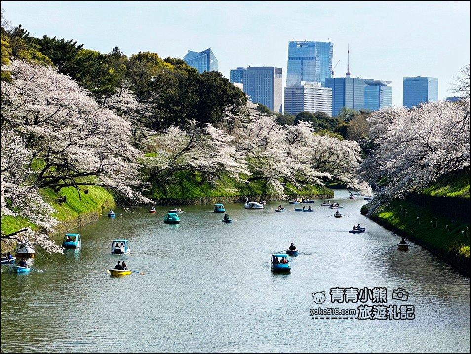 東京賞櫻景點推薦》千鳥之淵~看不到盡頭的櫻花盛開,迷人景致讓人流連忘返 @青青小熊*旅遊札記 東京賞櫻景點推薦》千鳥之淵~看不到盡頭的櫻花盛開,迷人景致讓人流連忘返 @青青小熊*旅遊札記