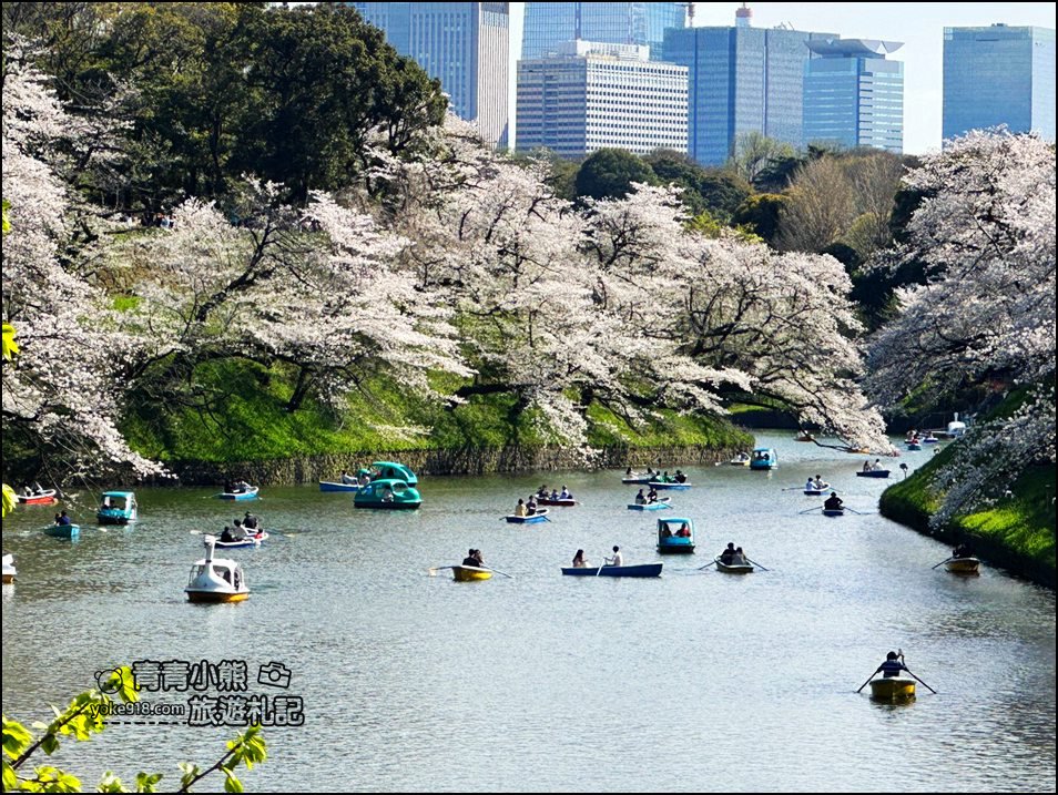 東京賞櫻景點推薦》千鳥之淵~看不到盡頭的櫻花盛開，迷人景致讓人流連忘返 @青青小熊＊旅遊札記