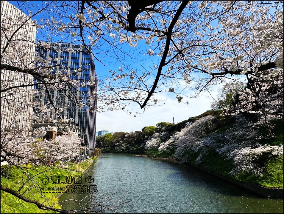 東京賞櫻景點推薦》千鳥之淵~看不到盡頭的櫻花盛開，迷人景致讓人流連忘返 @青青小熊＊旅遊札記