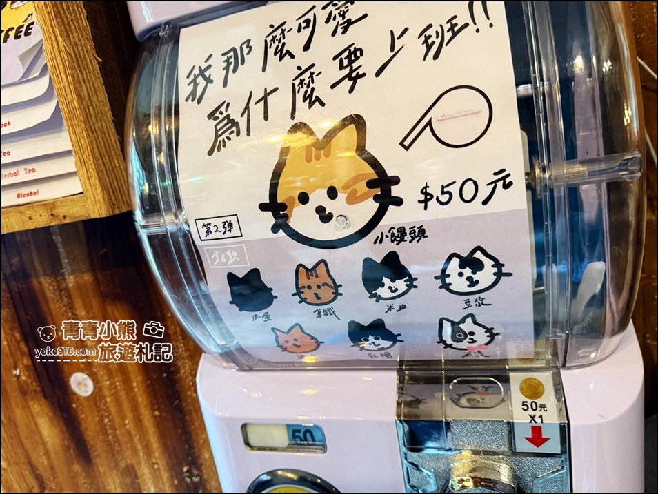 嘉義景點》隱身巷弄可以擼貓的 IN COFFEE，這裡的咩星人也太可愛 @青青小熊＊旅遊札記