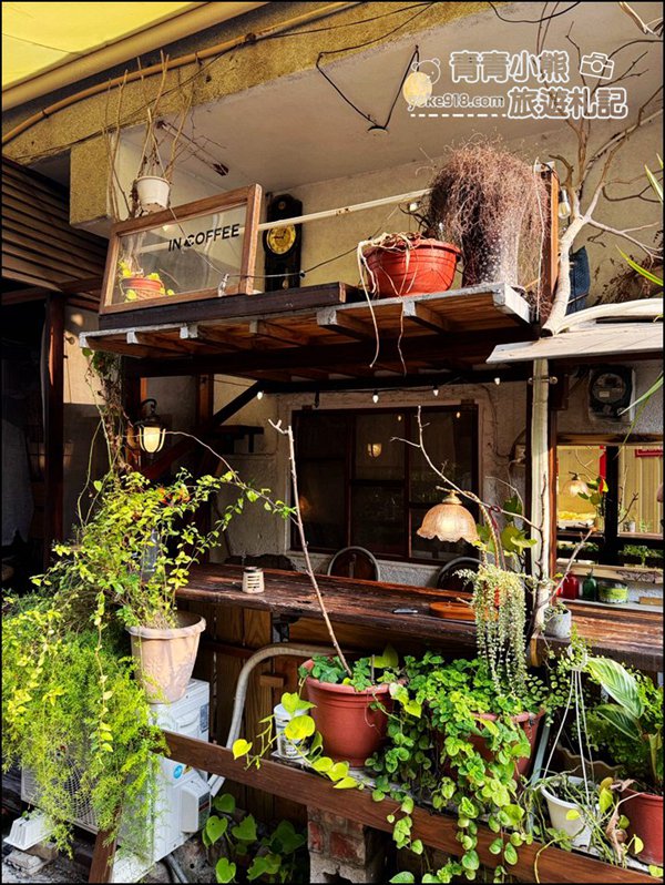 嘉義景點》隱身巷弄可以擼貓的 IN COFFEE，這裡的咩星人也太可愛 @青青小熊＊旅遊札記