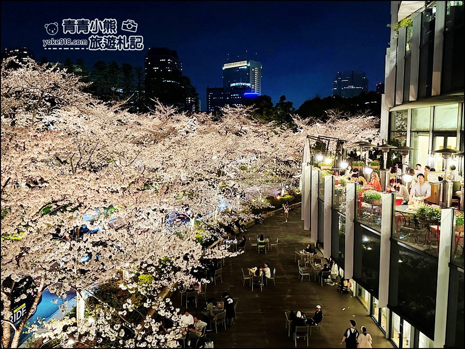 東京賞櫻》六本木賞夜櫻,東京中城現代化高樓大廈與櫻花的邂逅,還可以一邊用餐賞花 @青青小熊*旅遊札記 東京賞櫻》六本木賞夜櫻,東京中城現代化高樓大廈與櫻花的邂逅,還可以一邊用餐賞花 @青青小熊*旅遊札記