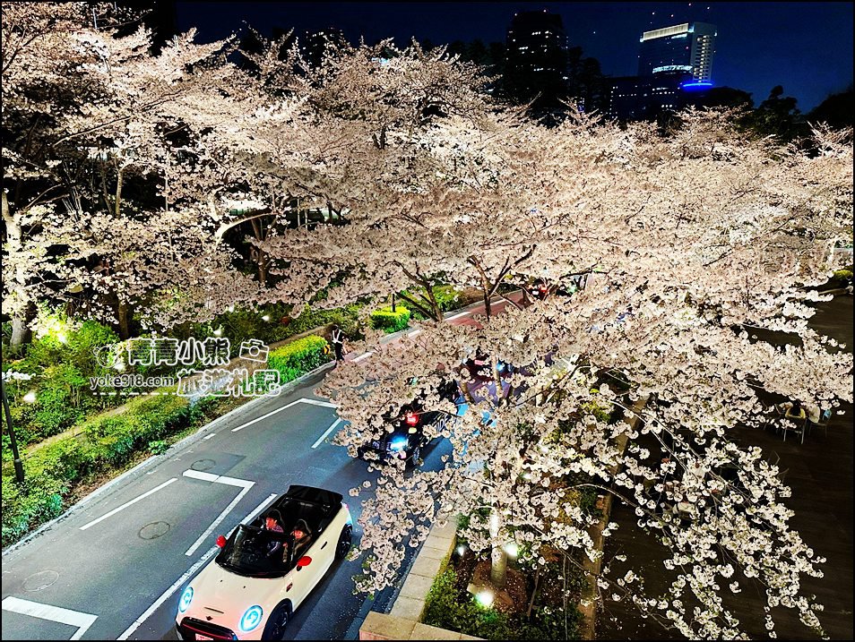 東京賞櫻》六本木賞夜櫻,東京中城現代化高樓大廈與櫻花的邂逅,還可以一邊用餐賞花 @青青小熊*旅遊札記 東京賞櫻》六本木賞夜櫻,東京中城現代化高樓大廈與櫻花的邂逅,還可以一邊用餐賞花 @青青小熊*旅遊札記