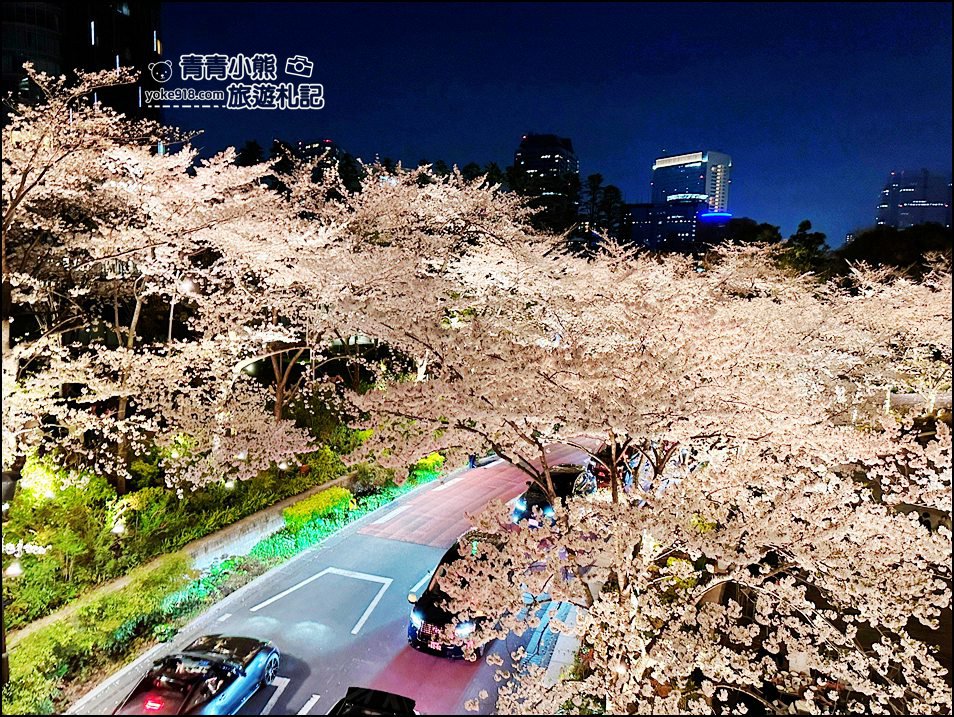 東京賞櫻》六本木賞夜櫻,東京中城現代化高樓大廈與櫻花的邂逅,還可以一邊用餐賞花 @青青小熊*旅遊札記 東京賞櫻》六本木賞夜櫻,東京中城現代化高樓大廈與櫻花的邂逅,還可以一邊用餐賞花 @青青小熊*旅遊札記