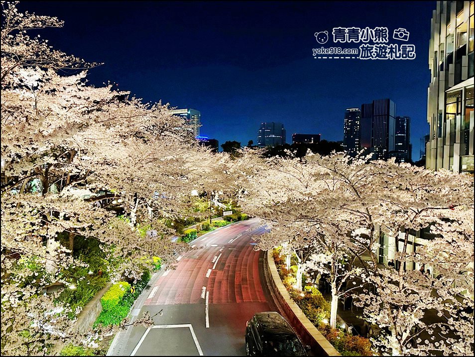 東京賞櫻》六本木賞夜櫻，東京中城現代化高樓大廈與櫻花的邂逅，還可以一邊用餐賞花 @青青小熊＊旅遊札記