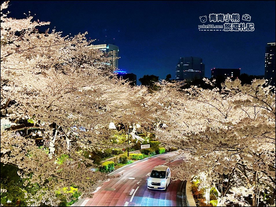 東京賞櫻》六本木賞夜櫻,東京中城現代化高樓大廈與櫻花的邂逅,還可以一邊用餐賞花 @青青小熊*旅遊札記 東京賞櫻》六本木賞夜櫻,東京中城現代化高樓大廈與櫻花的邂逅,還可以一邊用餐賞花 @青青小熊*旅遊札記