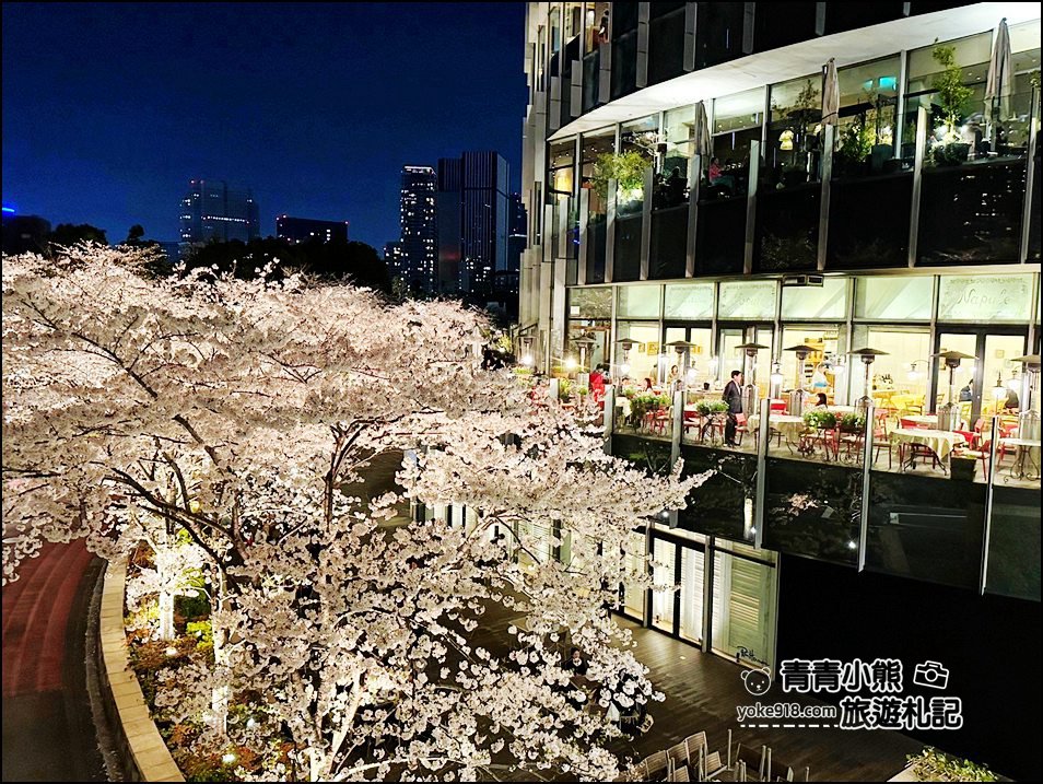 東京賞櫻》六本木賞夜櫻，東京中城現代化高樓大廈與櫻花的邂逅，還可以一邊用餐賞花 @青青小熊＊旅遊札記