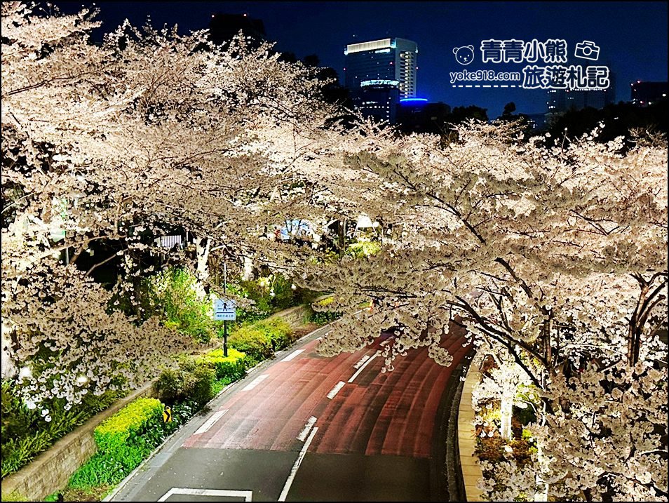 東京賞櫻》六本木賞夜櫻,東京中城現代化高樓大廈與櫻花的邂逅,還可以一邊用餐賞花 @青青小熊*旅遊札記 東京賞櫻》六本木賞夜櫻,東京中城現代化高樓大廈與櫻花的邂逅,還可以一邊用餐賞花 @青青小熊*旅遊札記