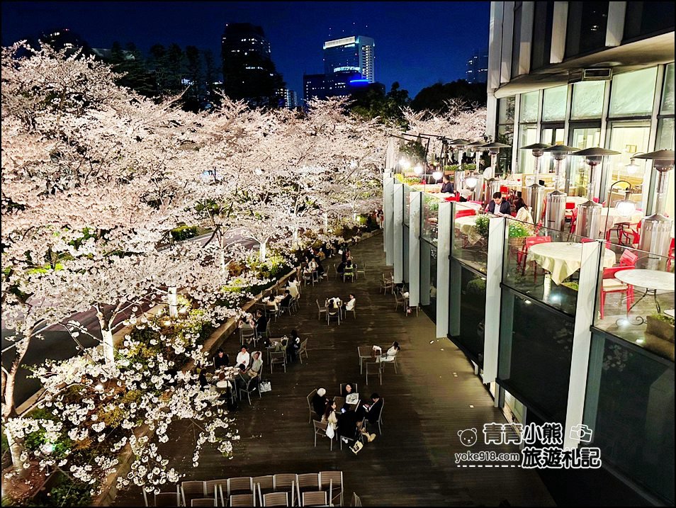 東京賞櫻》六本木賞夜櫻,東京中城現代化高樓大廈與櫻花的邂逅,還可以一邊用餐賞花 @青青小熊*旅遊札記 東京賞櫻》六本木賞夜櫻,東京中城現代化高樓大廈與櫻花的邂逅,還可以一邊用餐賞花 @青青小熊*旅遊札記