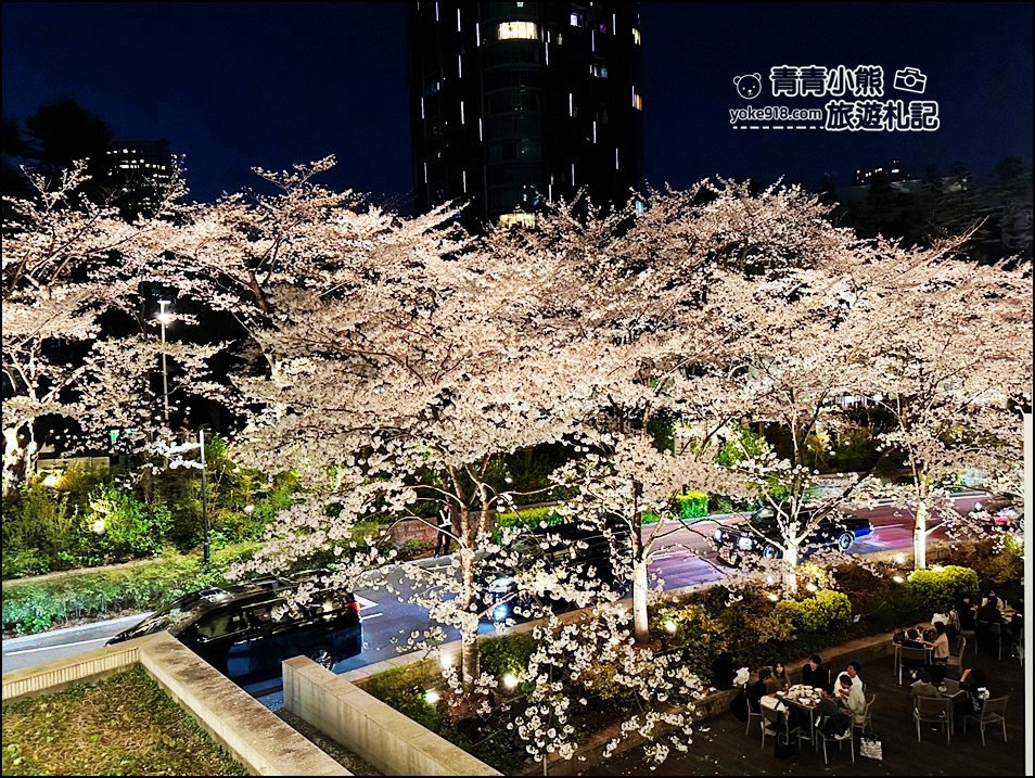 東京賞櫻》六本木賞夜櫻，東京中城現代化高樓大廈與櫻花的邂逅，還可以一邊用餐賞花 @青青小熊＊旅遊札記