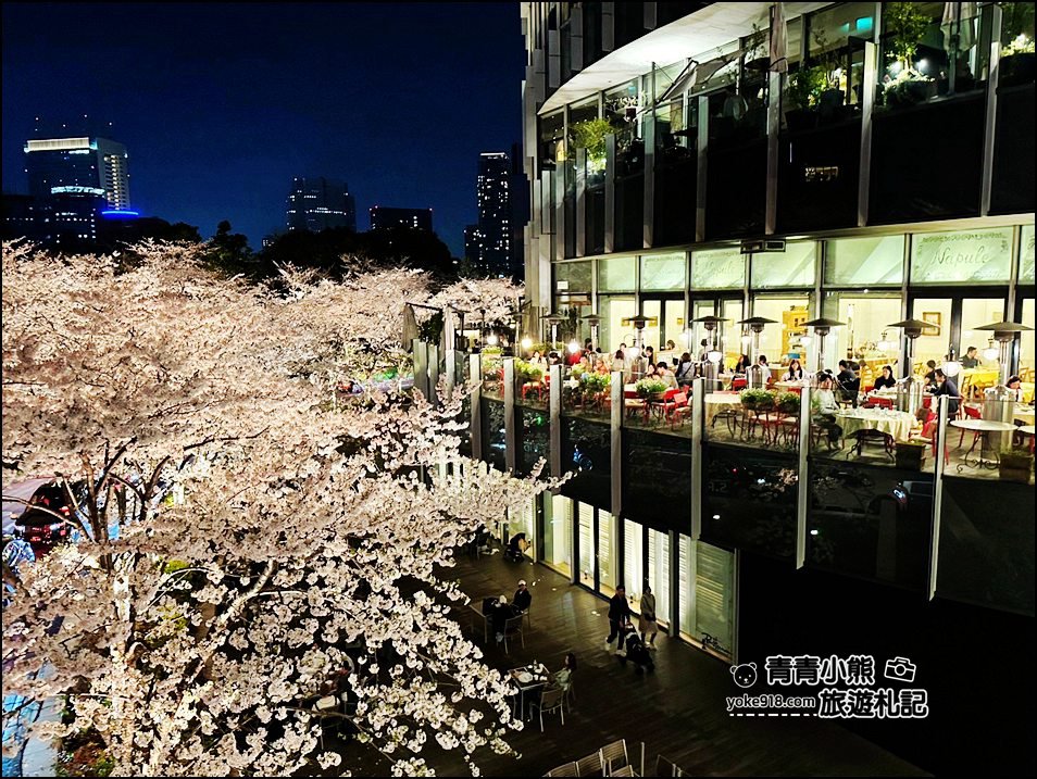 東京賞櫻》六本木賞夜櫻,東京中城現代化高樓大廈與櫻花的邂逅,還可以一邊用餐賞花 @青青小熊*旅遊札記 東京賞櫻》六本木賞夜櫻,東京中城現代化高樓大廈與櫻花的邂逅,還可以一邊用餐賞花 @青青小熊*旅遊札記