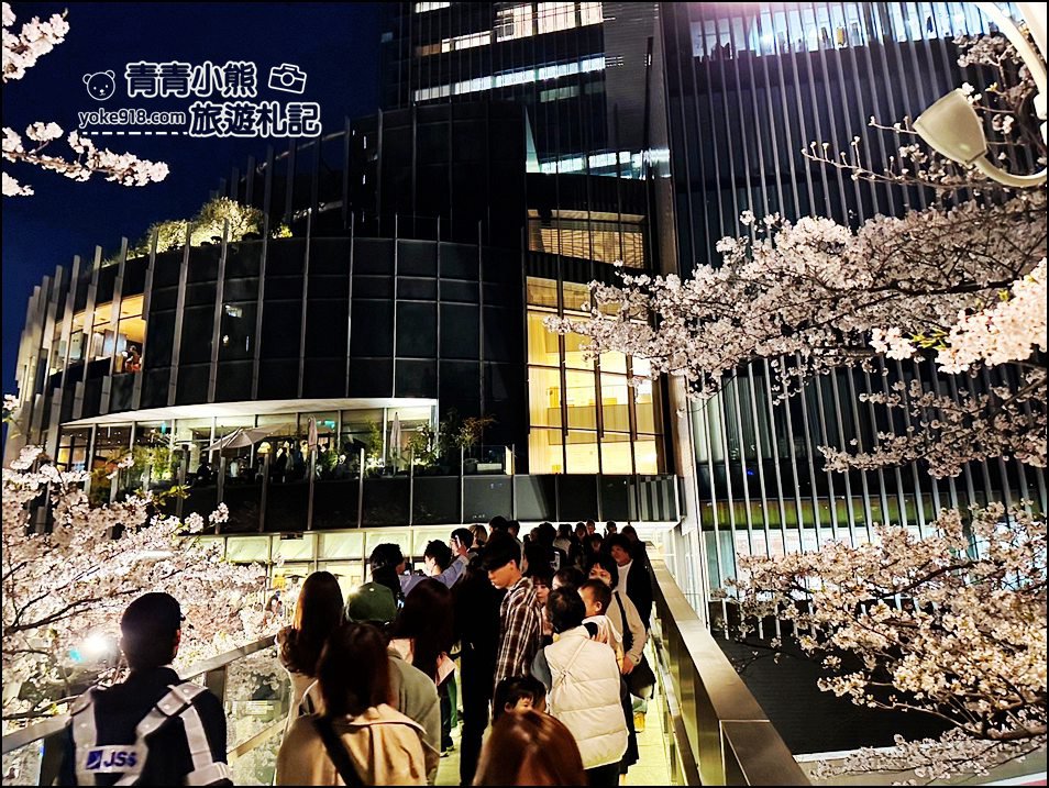 東京賞櫻》六本木賞夜櫻,東京中城現代化高樓大廈與櫻花的邂逅,還可以一邊用餐賞花 @青青小熊*旅遊札記 東京賞櫻》六本木賞夜櫻,東京中城現代化高樓大廈與櫻花的邂逅,還可以一邊用餐賞花 @青青小熊*旅遊札記