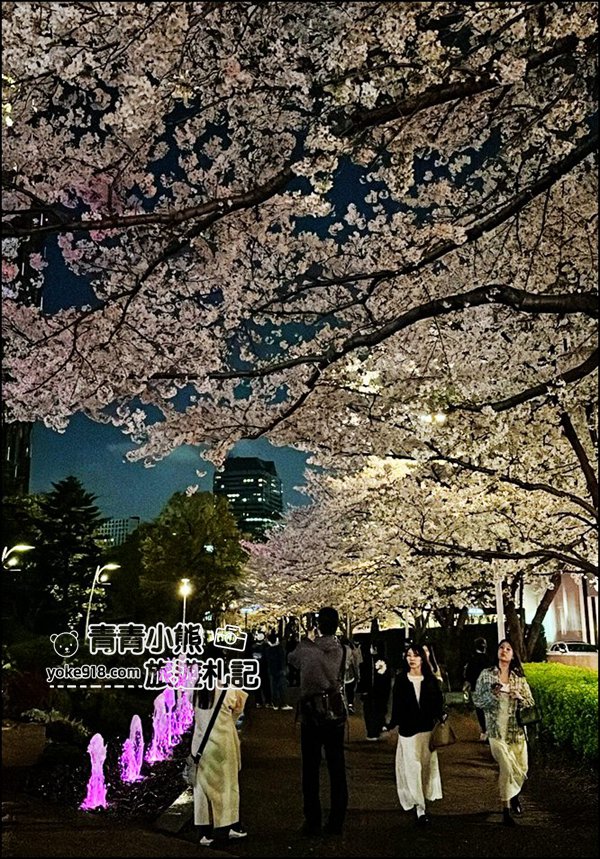 東京賞櫻》六本木賞夜櫻,東京中城現代化高樓大廈與櫻花的邂逅,還可以一邊用餐賞花 @青青小熊*旅遊札記 東京賞櫻》六本木賞夜櫻,東京中城現代化高樓大廈與櫻花的邂逅,還可以一邊用餐賞花 @青青小熊*旅遊札記