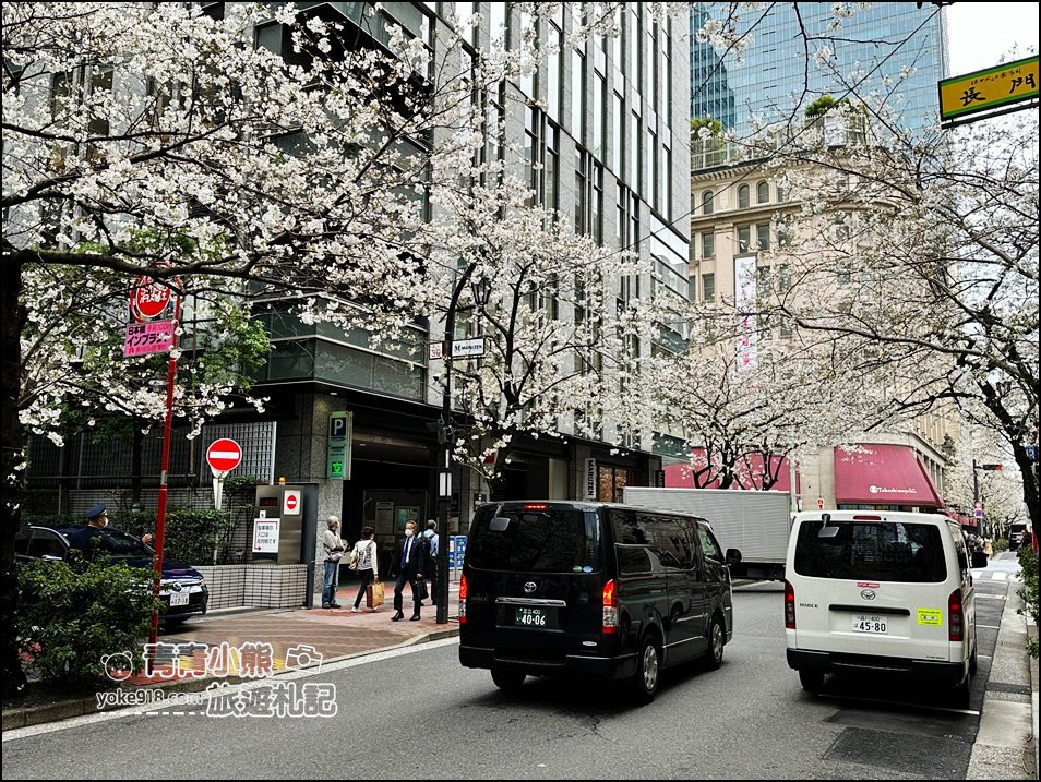 東京日本橋櫻花》住東京車站唐草飯店想賞櫻下樓就看的到，櫻花搭配市區街景好迷人 @青青小熊＊旅遊札記