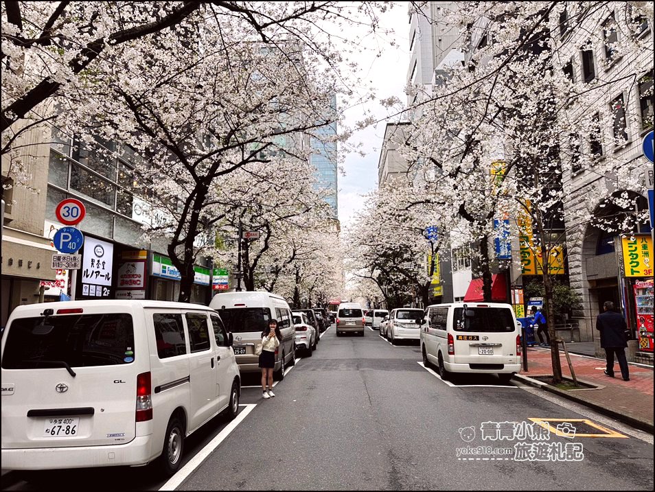 東京日本橋櫻花》住東京車站唐草飯店想賞櫻下樓就看的到，櫻花搭配市區街景好迷人 @青青小熊＊旅遊札記