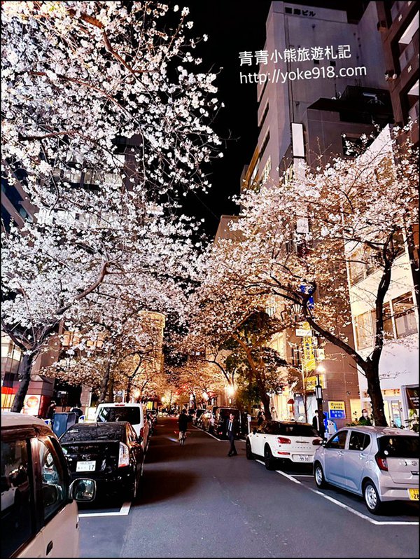 東京日本橋櫻花》住東京車站唐草飯店想賞櫻下樓就看的到，櫻花搭配市區街景好迷人 @青青小熊＊旅遊札記
