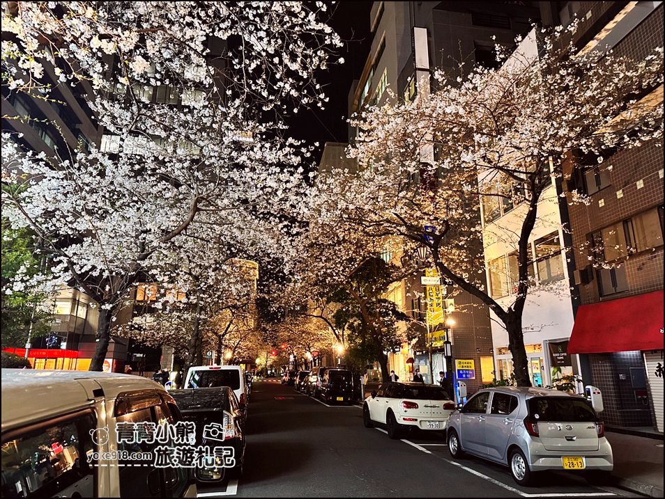 東京日本橋櫻花》住東京車站唐草飯店想賞櫻下樓就看的到，櫻花搭配市區街景好迷人 @青青小熊＊旅遊札記