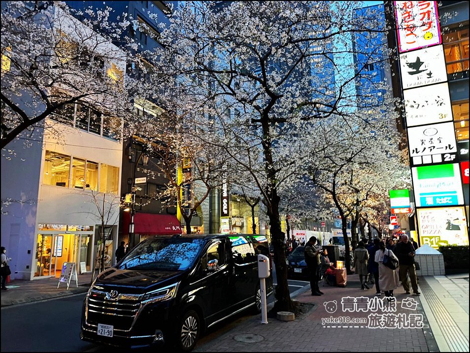 東京日本橋櫻花》住東京車站唐草飯店想賞櫻下樓就看的到，櫻花搭配市區街景好迷人 @青青小熊＊旅遊札記