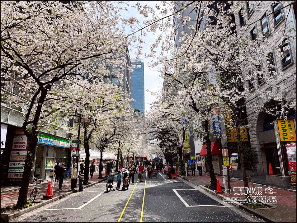 東京日本橋櫻花》住東京車站唐草飯店想賞櫻下樓就看的到，櫻花搭配市區街景好迷人 @青青小熊＊旅遊札記