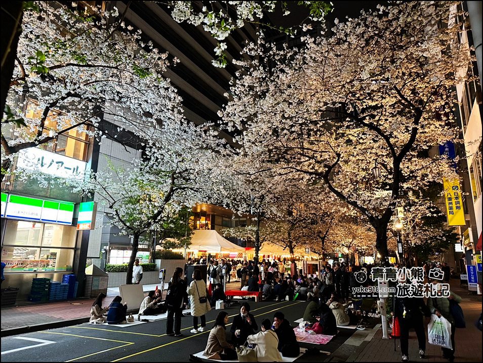 東京日本橋櫻花》住東京車站唐草飯店想賞櫻下樓就看的到，櫻花搭配市區街景好迷人 @青青小熊＊旅遊札記