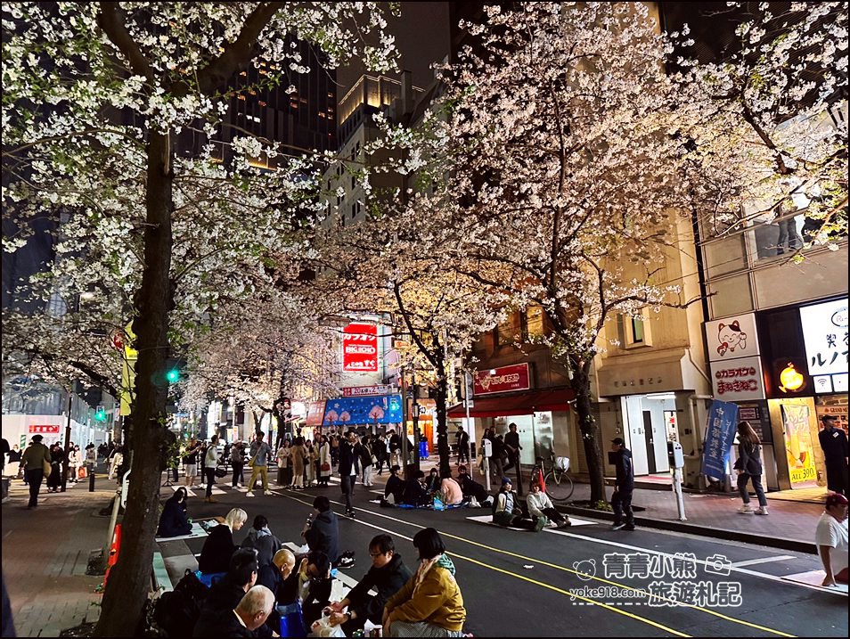 東京日本橋櫻花》住東京車站唐草飯店想賞櫻下樓就看的到，櫻花搭配市區街景好迷人 @青青小熊＊旅遊札記