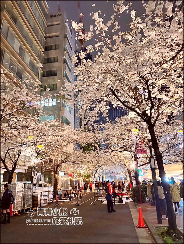東京日本橋櫻花》住東京車站唐草飯店想賞櫻下樓就看的到，櫻花搭配市區街景好迷人 @青青小熊＊旅遊札記