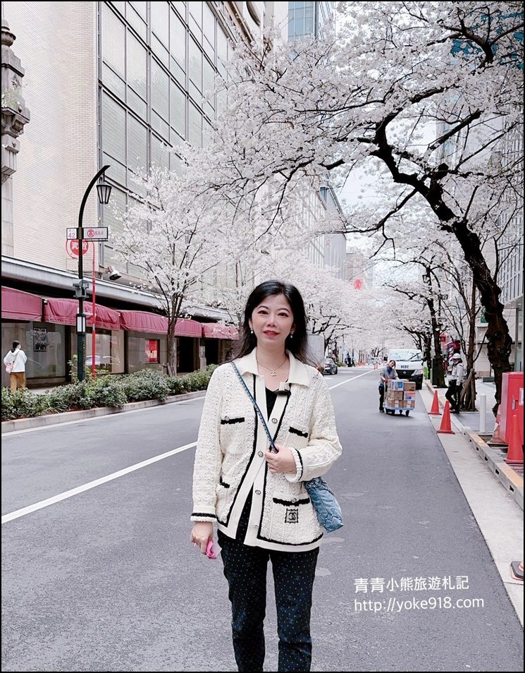 東京日本橋櫻花》住東京車站唐草飯店想賞櫻下樓就看的到，櫻花搭配市區街景好迷人 @青青小熊＊旅遊札記