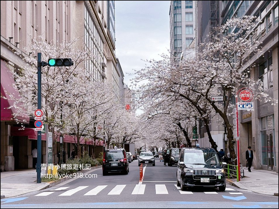 東京日本橋櫻花》住東京車站唐草飯店想賞櫻下樓就看的到，櫻花搭配市區街景好迷人 @青青小熊＊旅遊札記
