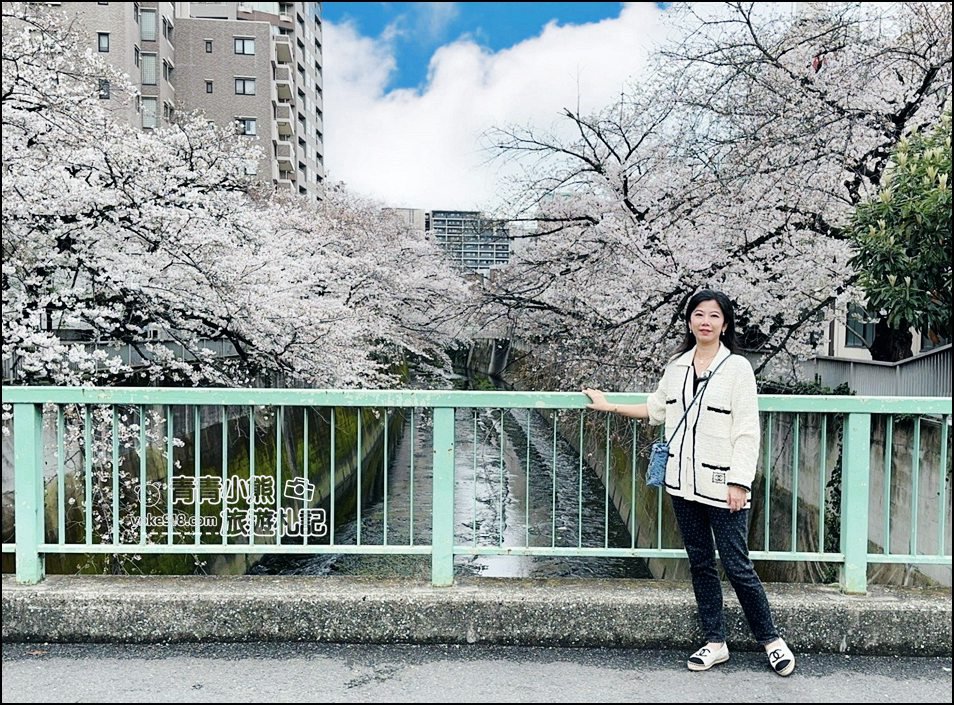 東京賞櫻景點推薦》神田川面影橋櫻花，完美避開人潮，兩岸櫻花輕鬆散步賞花去 @青青小熊＊旅遊札記