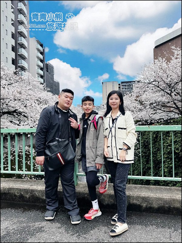 東京賞櫻景點推薦》神田川面影橋櫻花,完美避開人潮,兩岸櫻花輕鬆散步賞花去 @青青小熊*旅遊札記 東京賞櫻景點推薦》神田川面影橋櫻花,完美避開人潮,兩岸櫻花輕鬆散步賞花去 @青青小熊*旅遊札記