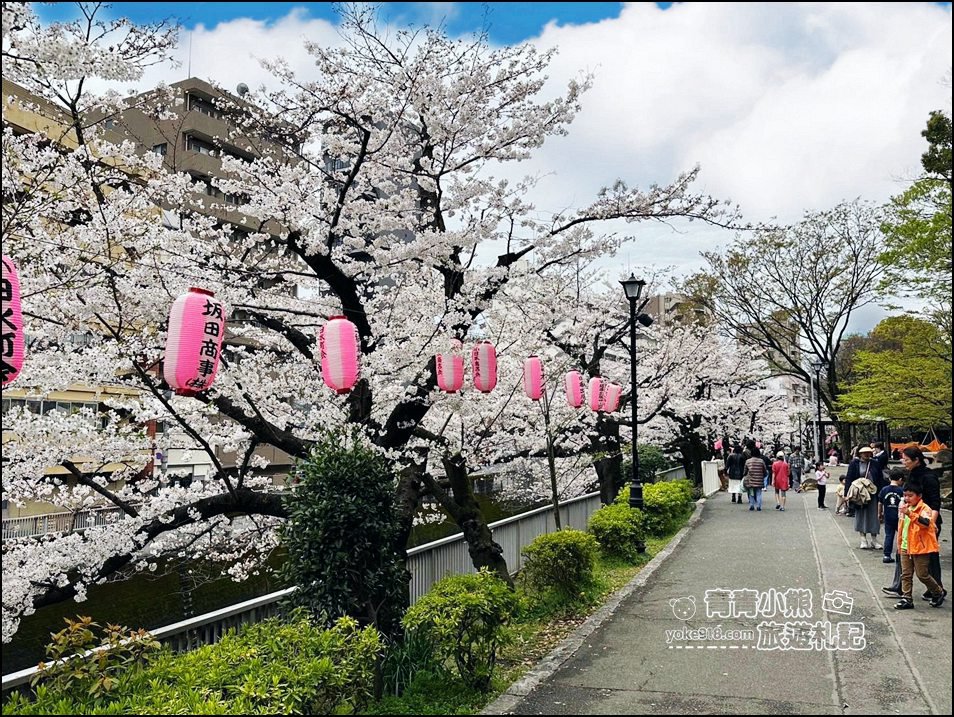 東京賞櫻景點推薦》神田川面影橋櫻花,完美避開人潮,兩岸櫻花輕鬆散步賞花去 @青青小熊*旅遊札記 東京賞櫻景點推薦》神田川面影橋櫻花,完美避開人潮,兩岸櫻花輕鬆散步賞花去 @青青小熊*旅遊札記