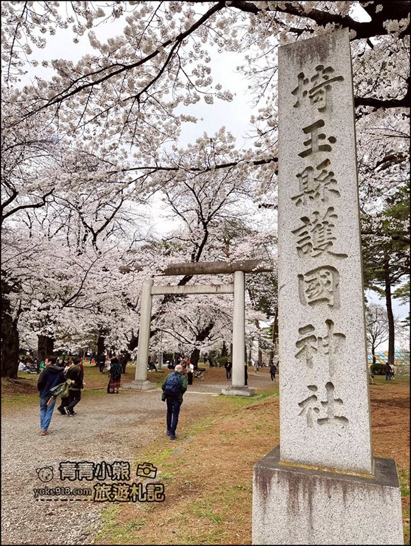 東京賞櫻》日本櫻花名所百選的大宮公園，東京近郊賞櫻景點~舖天蓋地滿開的櫻花樹下野餐 @青青小熊＊旅遊札記