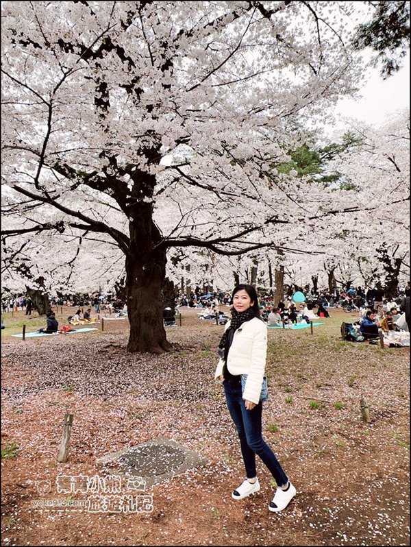 東京賞櫻》日本櫻花名所百選的大宮公園，東京近郊賞櫻景點~舖天蓋地滿開的櫻花樹下野餐 @青青小熊＊旅遊札記