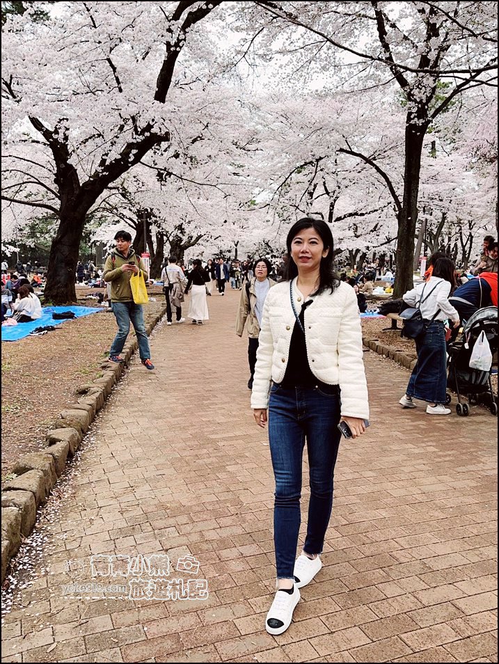 東京賞櫻》日本櫻花名所百選的大宮公園，東京近郊賞櫻景點~舖天蓋地滿開的櫻花樹下野餐 @青青小熊＊旅遊札記