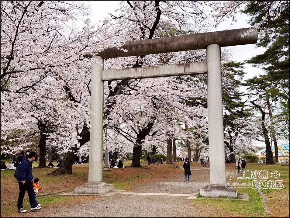 東京賞櫻》日本櫻花名所百選的大宮公園，東京近郊賞櫻景點~舖天蓋地滿開的櫻花樹下野餐 @青青小熊＊旅遊札記