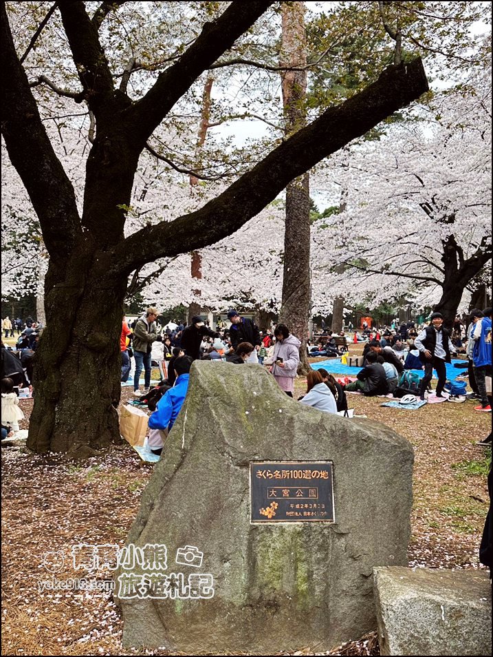 東京賞櫻》日本櫻花名所百選的大宮公園，東京近郊賞櫻景點~舖天蓋地滿開的櫻花樹下野餐 @青青小熊＊旅遊札記