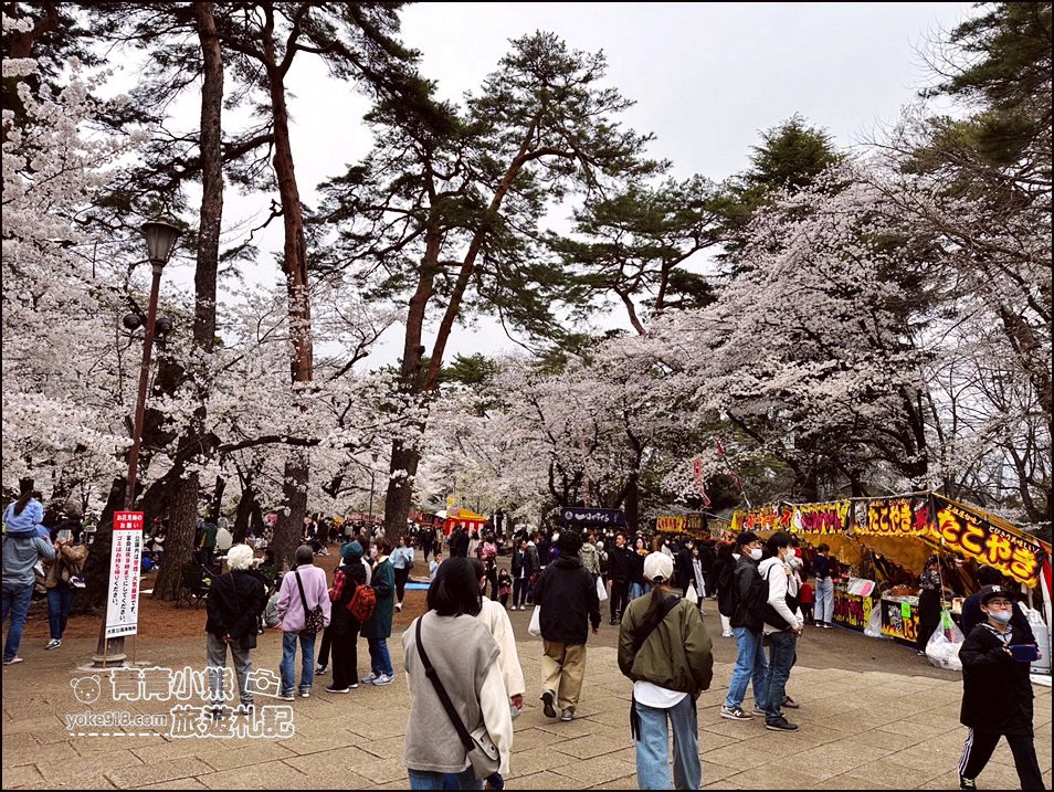 東京賞櫻》日本櫻花名所百選的大宮公園，東京近郊賞櫻景點~舖天蓋地滿開的櫻花樹下野餐 @青青小熊＊旅遊札記