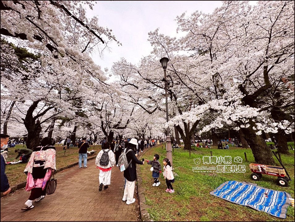 東京賞櫻》日本櫻花名所百選的大宮公園，東京近郊賞櫻景點~舖天蓋地滿開的櫻花樹下野餐 @青青小熊＊旅遊札記