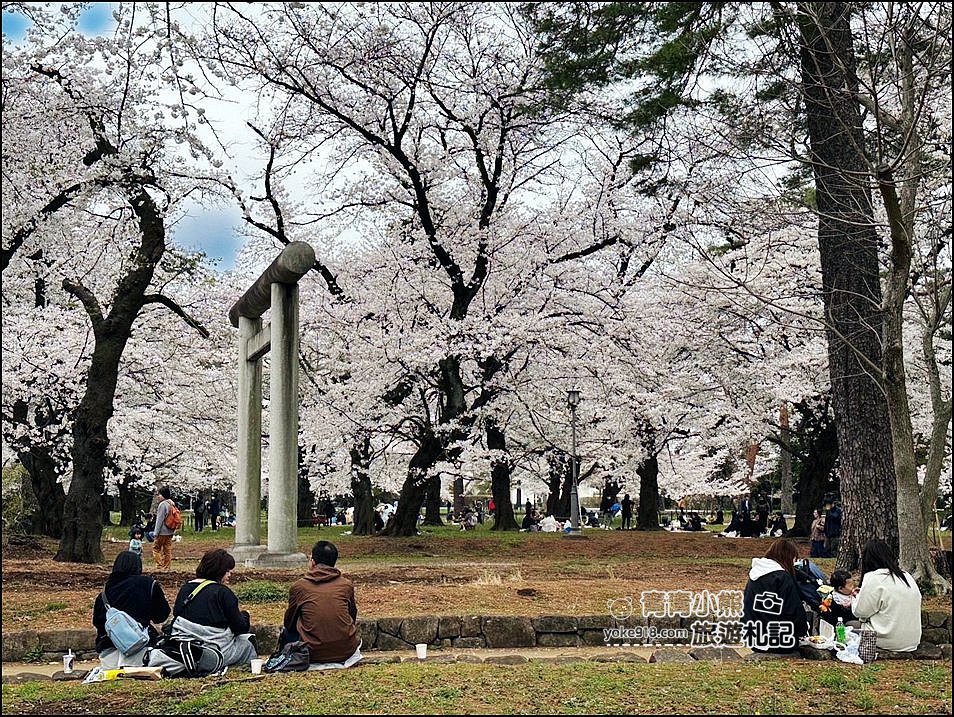東京賞櫻》日本櫻花名所百選的大宮公園，東京近郊賞櫻景點~舖天蓋地滿開的櫻花樹下野餐 @青青小熊＊旅遊札記