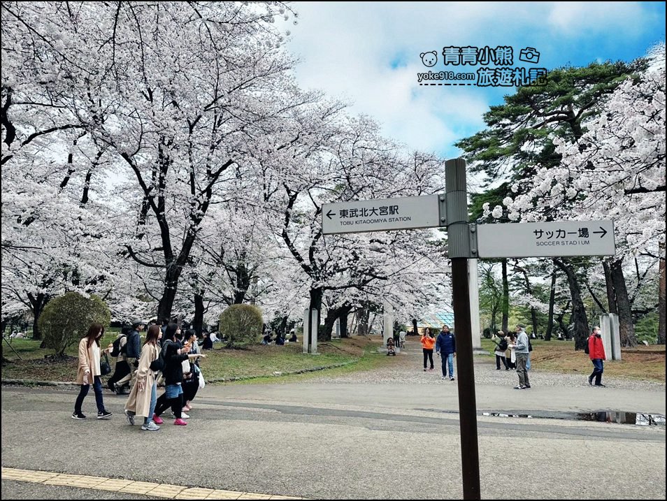 東京賞櫻》日本櫻花名所百選的大宮公園，東京近郊賞櫻景點~舖天蓋地滿開的櫻花樹下野餐 @青青小熊＊旅遊札記