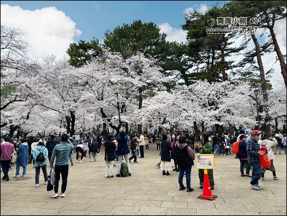 東京賞櫻》日本櫻花名所百選的大宮公園，東京近郊賞櫻景點~舖天蓋地滿開的櫻花樹下野餐 @青青小熊＊旅遊札記