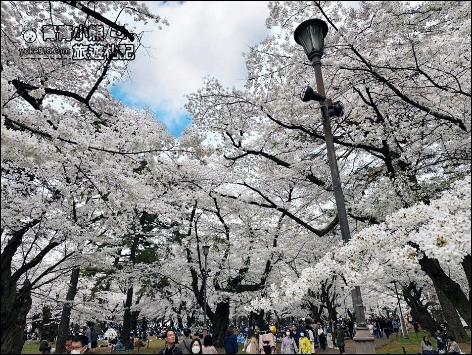 東京賞櫻》日本櫻花名所百選的大宮公園，東京近郊賞櫻景點~舖天蓋地滿開的櫻花樹下野餐 @青青小熊＊旅遊札記
